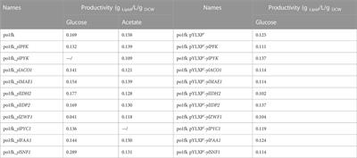 Knocking out central metabolism genes to identify new targets and alternating substrates to improve lipid synthesis in Y. lipolytica